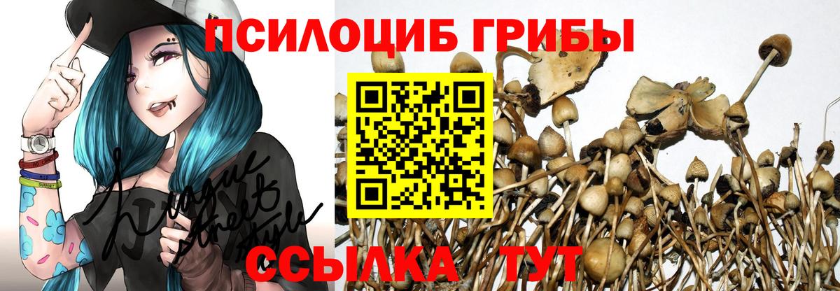 Галлюциногенные грибы MAGIC MUSHROOMS Нижневартовск